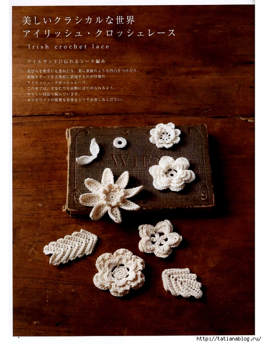 Asahi_Original_-_Crochet_Lace_Cafe_2014.page05 copy (539x700, 321Kb)