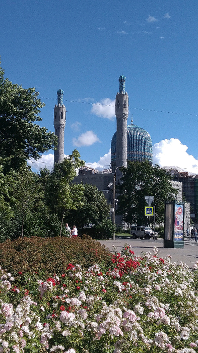 P_20180807_145745 (393x700, 443Kb)