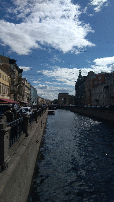 P_20180807_153628 (393x700, 327Kb)
