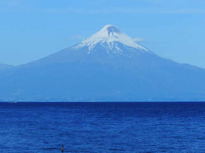 DSCN4510 (700x525, 402Kb)