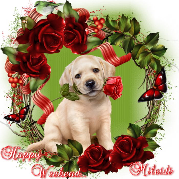 6394601_ll4IwzQ2r58x (700x700, 801Kb)