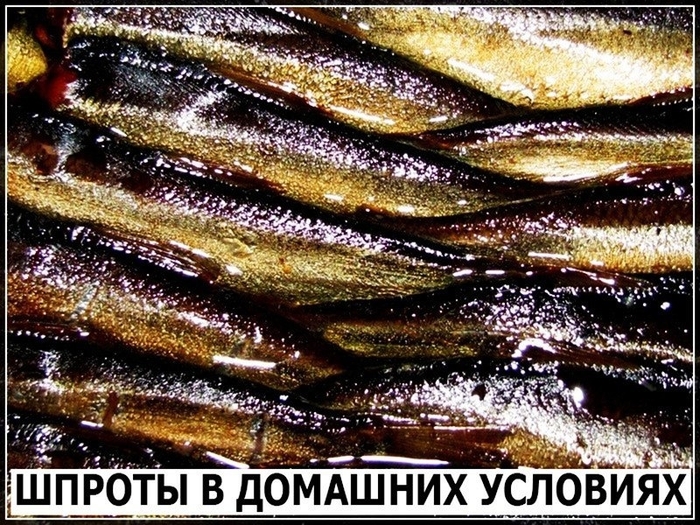6144715_7774_0_s (700x525, 376Kb)