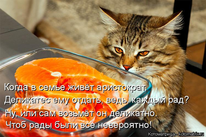 https://img1.liveinternet.ru/images/attach/d/0/143/41/143041037_kotomatritsa_O.jpg