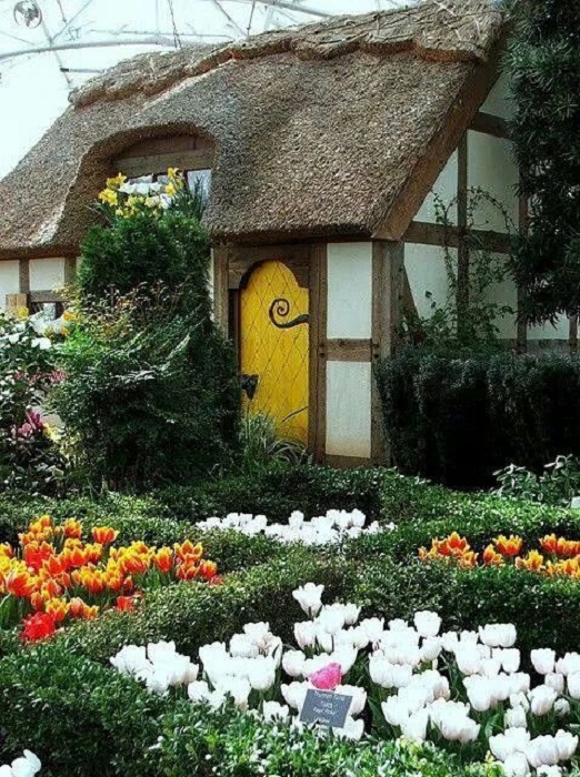 5634411_fullsize_20 (700x878, 213Kb)