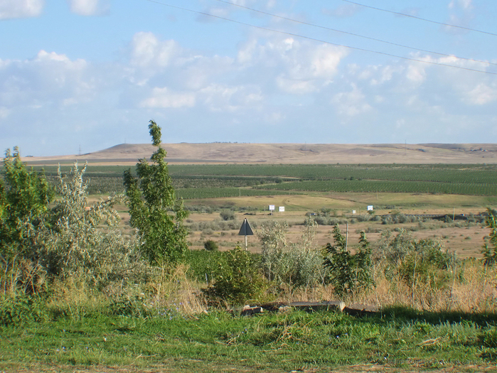 IMG_3465 (700x525, 580Kb)