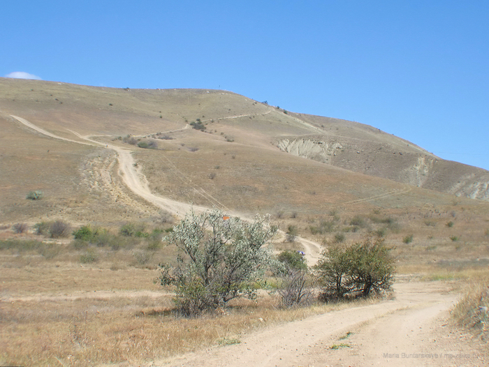 IMG_3530 (700x526, 477Kb)