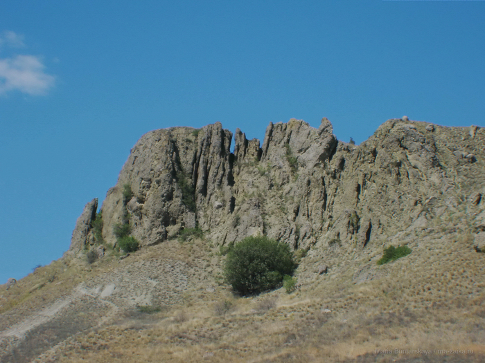 IMG_3554 (700x525, 472Kb)