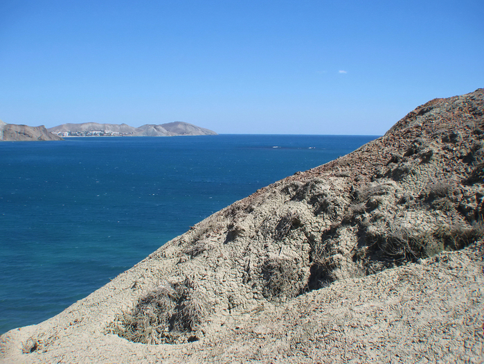IMG_3568 (700x525, 579Kb)