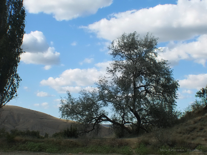 IMG_3599 (700x525, 502Kb)