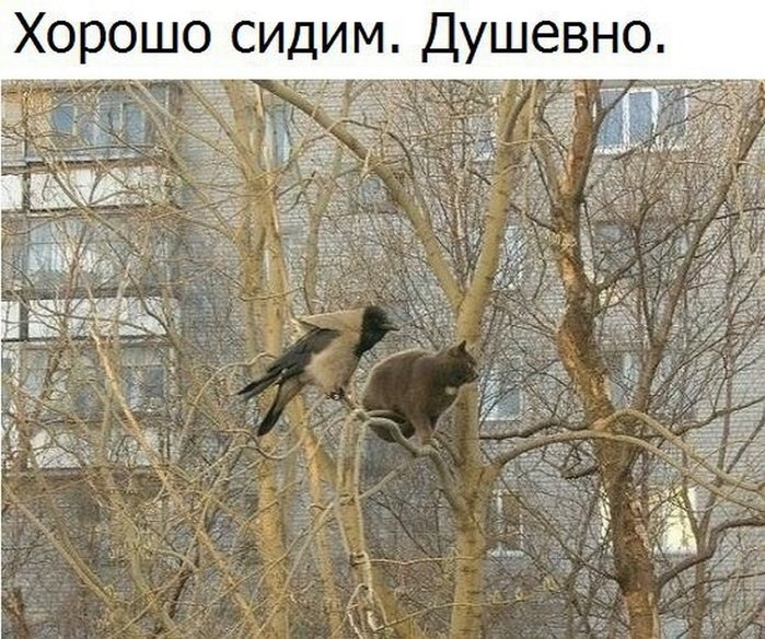 0076588 (700x584, 128Kb)