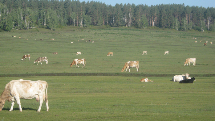 IMG_4798 (700x392, 363Kb)