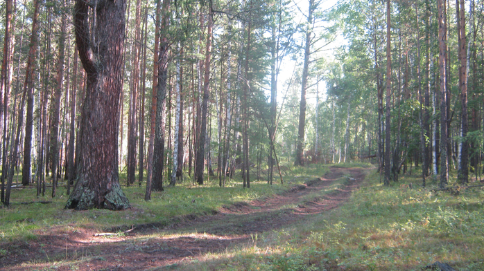IMG_4818 (700x392, 484Kb)