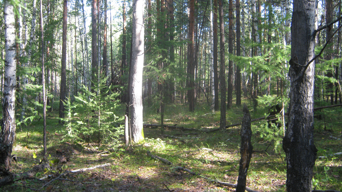 IMG_4822 (700x392, 501Kb)