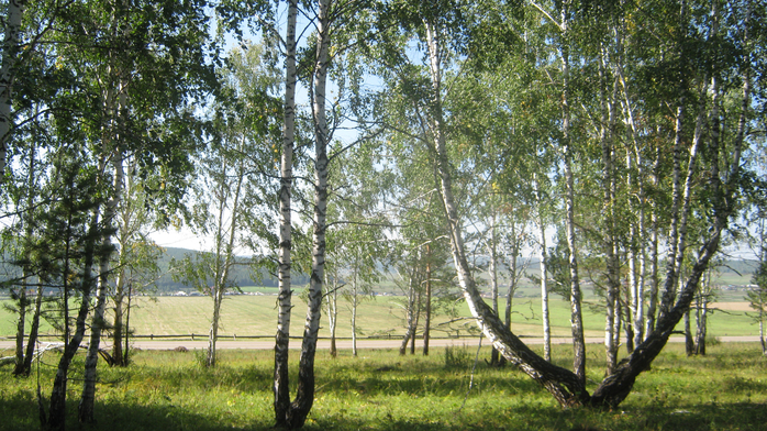 IMG_4846 (700x392, 521Kb)