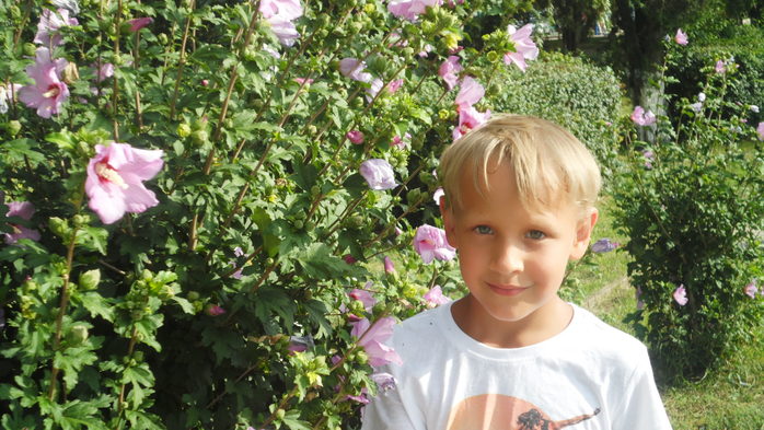 SAM_3055 (700x393, 442Kb)