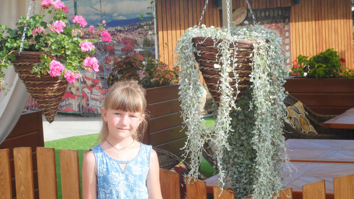 SAM_3058 (700x393, 393Kb)