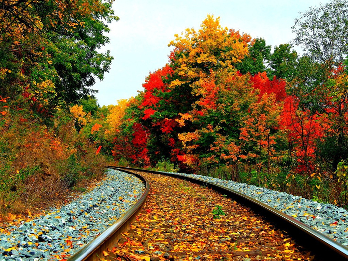 railroad-in-autumn-1024x768-wallpaper (700x525, 695Kb)