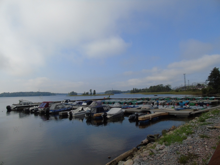 DSC01331 (700x525, 274Kb)