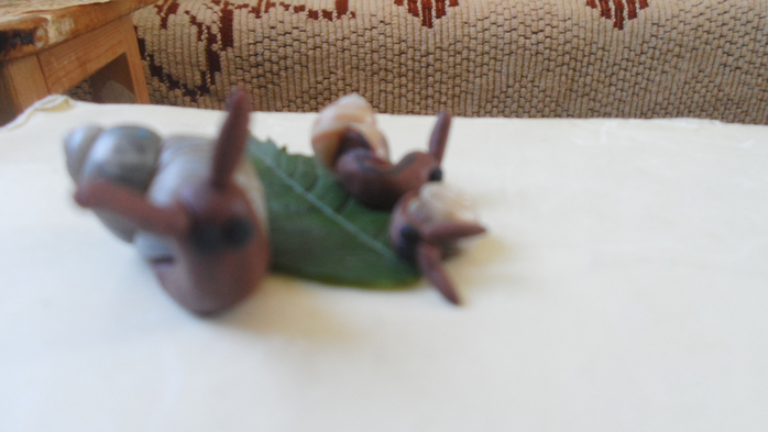 SAM_3092 (700x393, 219Kb)