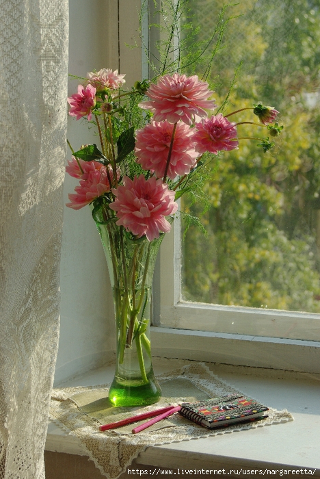 IMGP2489 (468x700, 315Kb)