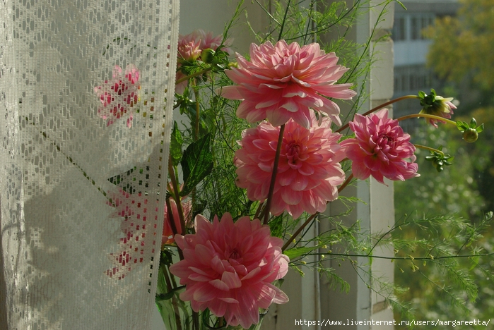 IMGP2480 (700x468, 312Kb)