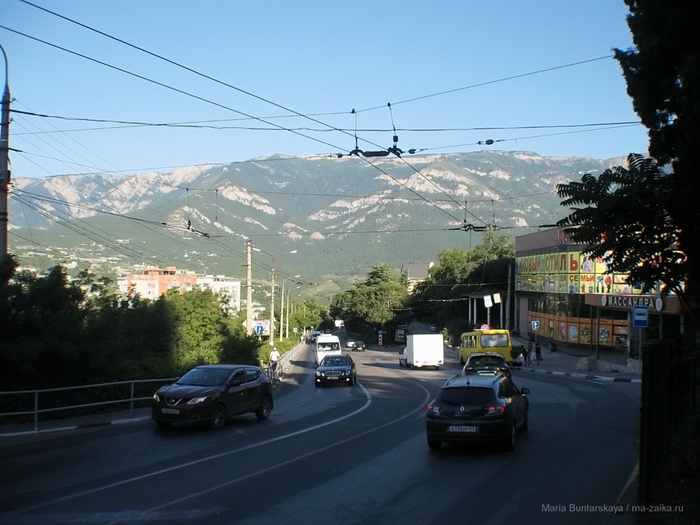 2270477_IMG_3869 (700x525, 258Kb)
