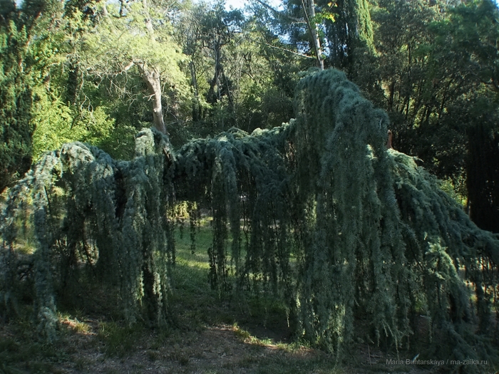 2270477_IMG_3880 (700x525, 348Kb)
