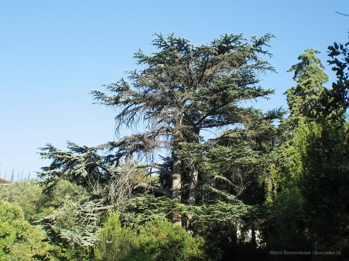 2270477_IMG_3881_1_ (700x525, 332Kb)