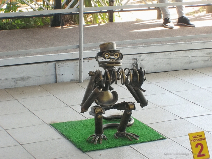 2270477_IMG_3914 (700x525, 287Kb)