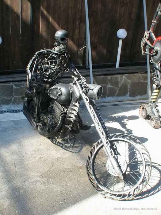2270477_IMG_3919 (525x700, 305Kb)