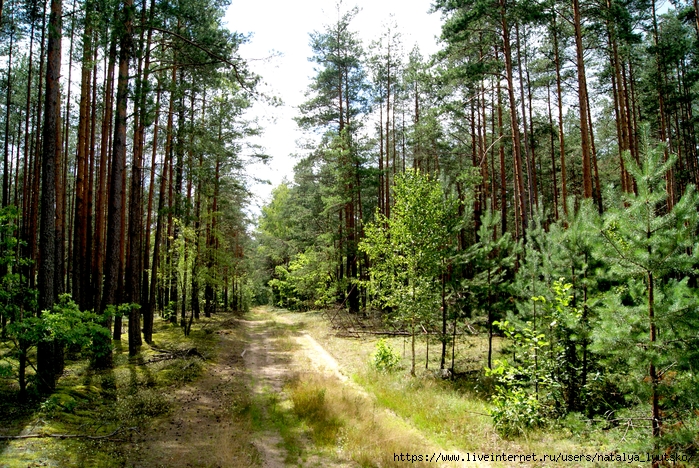 Куда поехать с подругой в России: 3 места для отдыха на природе