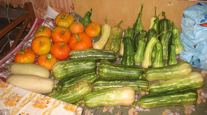 1536697150_IMG_4779_01 (700x390, 115Kb)