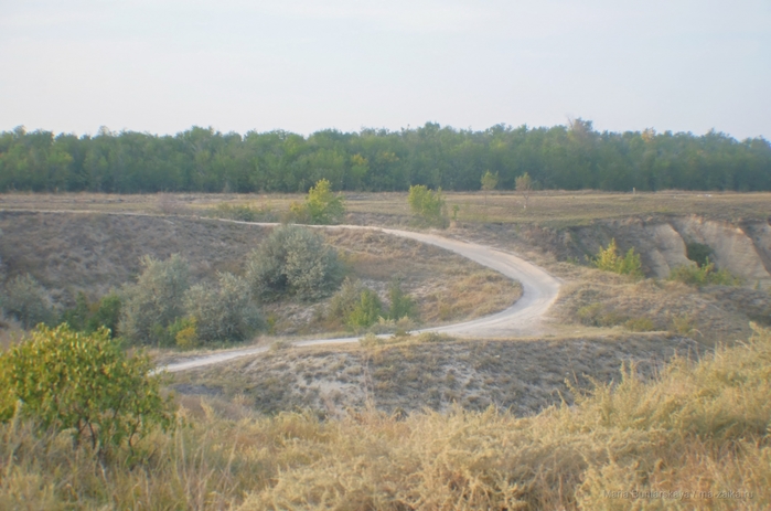 2270477_DSC_5591 (700x463, 224Kb)