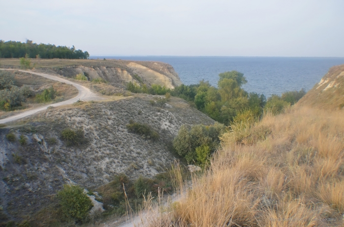 2270477_DSC_5595 (700x463, 234Kb)