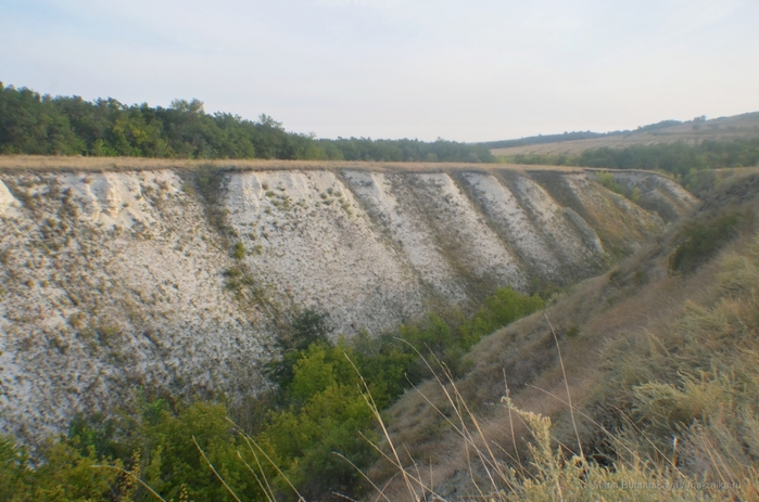 2270477_DSC_5598 (700x463, 249Kb)