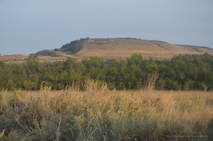 2270477_DSC_5645 (700x463, 217Kb)