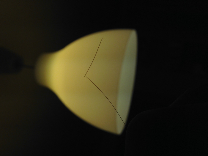 IMG_0060 (700x525, 182Kb)