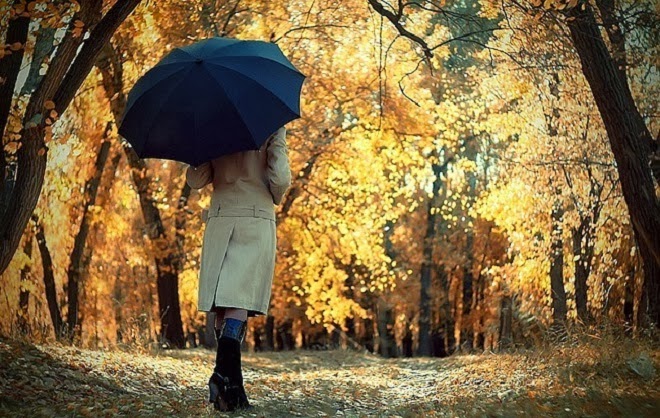 5152557_autumn_depression8 (660x418, 114Kb)