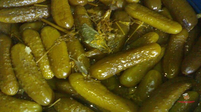 bochkovye-ogurcy-na-zimu (700x391, 69Kb)