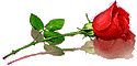 3906024_unnamed_18_ (125x60, 2Kb)