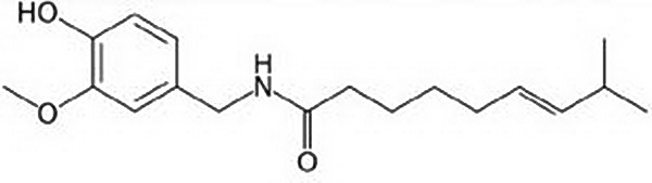 Capsaicin (600x169, 19Kb)