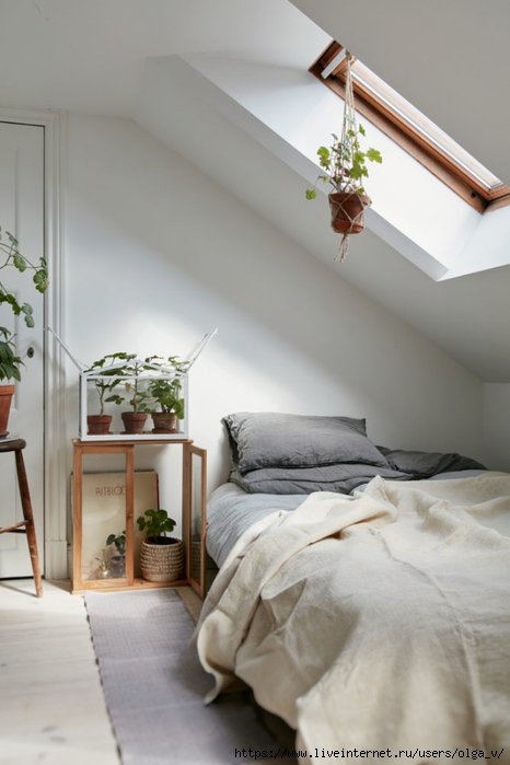 gravityhomeblog-small-plant-filled7-667x1000 (466x700, 174Kb)