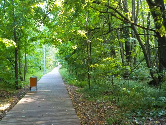 Лес казань. Парк Горького Казань лес. Горский лес Казань. Кадышевский лес Казань. Парк Горького Казань Лесная.