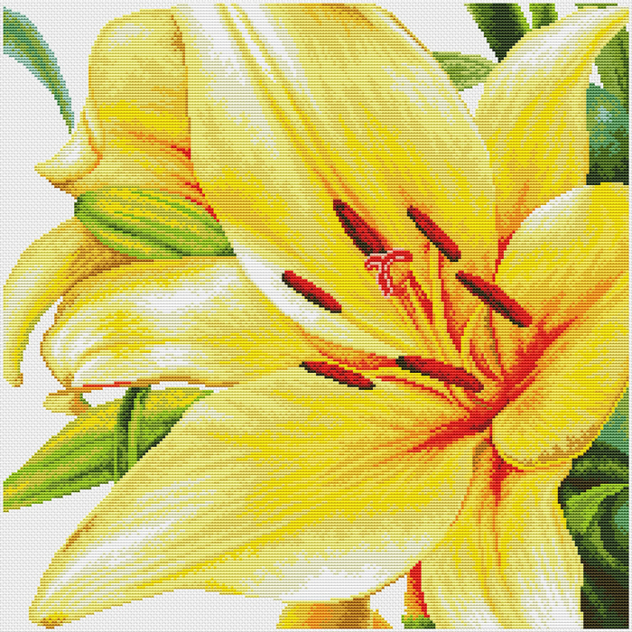 Lily (700x700, 882Kb)