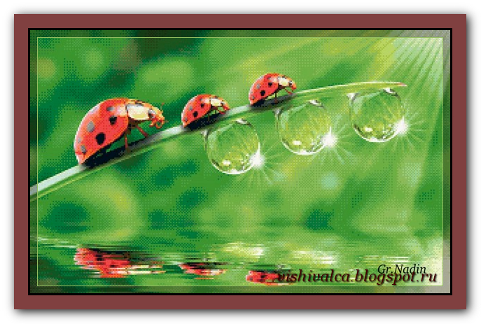 Ladybugs (687x463, 317Kb)