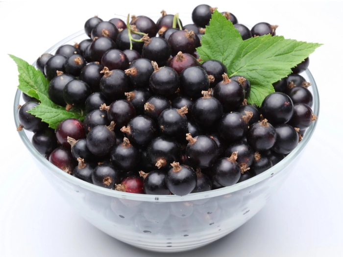 black-currant2 (700x525, 280Kb)