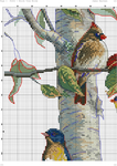  Birch Tree Birds (Cust Thrd)-001 (494x700, 432Kb)