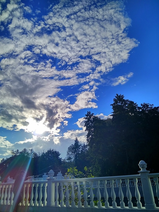 IMG_20180928_183914 (525x700, 199Kb)