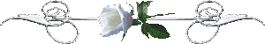 _ (300x50, 6Kb)