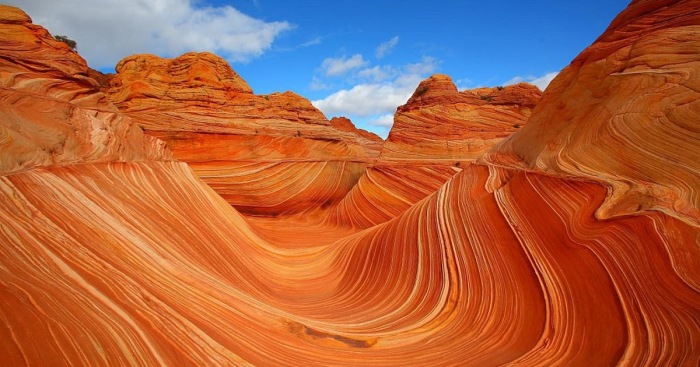 The-Wave-Arizona (700x367, 97Kb)